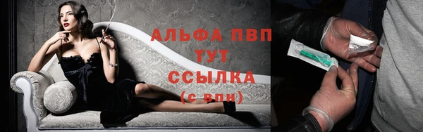 гидропоника Бородино
