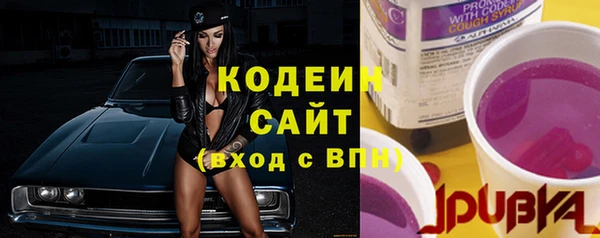 крисы Бронницы