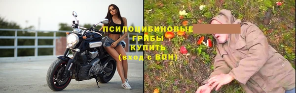 крисы Бронницы