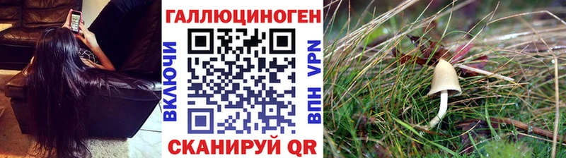Псилоцибиновые грибы мухоморы  Гремячинск 